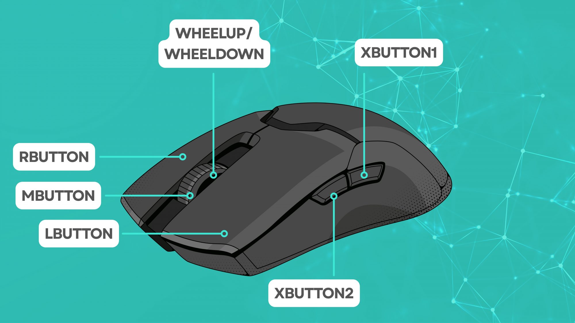 Illustration einer Computermaus mit markierten Tasten (LButton, RButton, MButton, XButton1, XButton2, WheelUp/WheelDown) zur Erklärung von Autohotkey-Maustastenbelegungen. Illustration of a computer mouse showing labeled buttons (LButton, RButton, MButton, XButton1, XButton2, WheelUp/WheelDown) for explaining Autohotkey mouse button mappings.